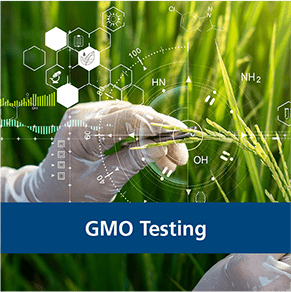 GMO Testing